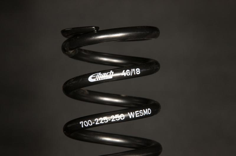 WESMO Eibach Springs