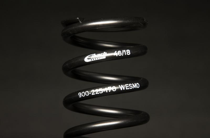 WESMO Eibach Springs